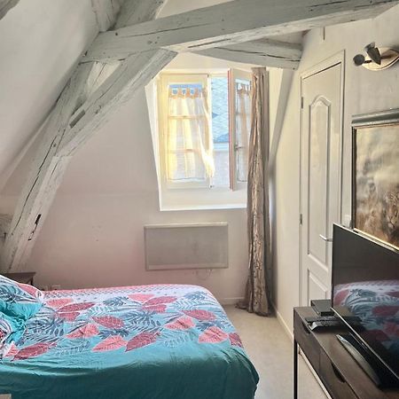 Le Pacific - Appartement Spacieux Centre Ville 奥尔良 外观 照片