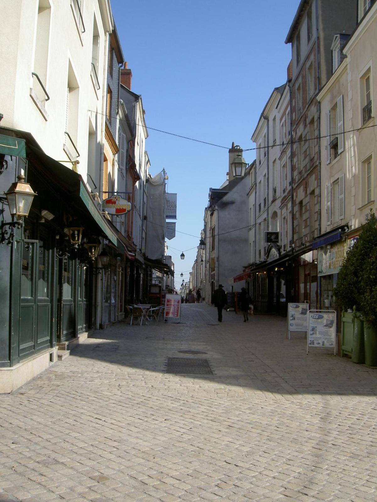 Le Pacific - Appartement Spacieux Centre Ville 奥尔良 外观 照片